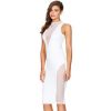 Mesh Lace Backless Zip Party Dress -  - 3