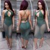 Backless Lace Mesh Halter Sleeveless Club Party Dress - CELEBRITYSTYLEFASHION.COM.AU - 4
