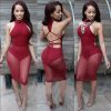 Backless Sexy Dress String Tie Up Mesh Sheer Party Dress - CELEBRITYSTYLEFASHION.COM.AU - 3