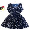 Summer Women dress New Brand Casual Print Sleeveless Chiffon stripe floral print Elastic Waist Bohemian Beach Dresses - CelebritystyleFashion.com.au online clothing shop australia