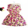 Summer Women dress New Brand Casual Print Sleeveless Chiffon stripe floral print Elastic Waist Bohemian Beach Dresses - CelebritystyleFashion.com.au online clothing shop australia